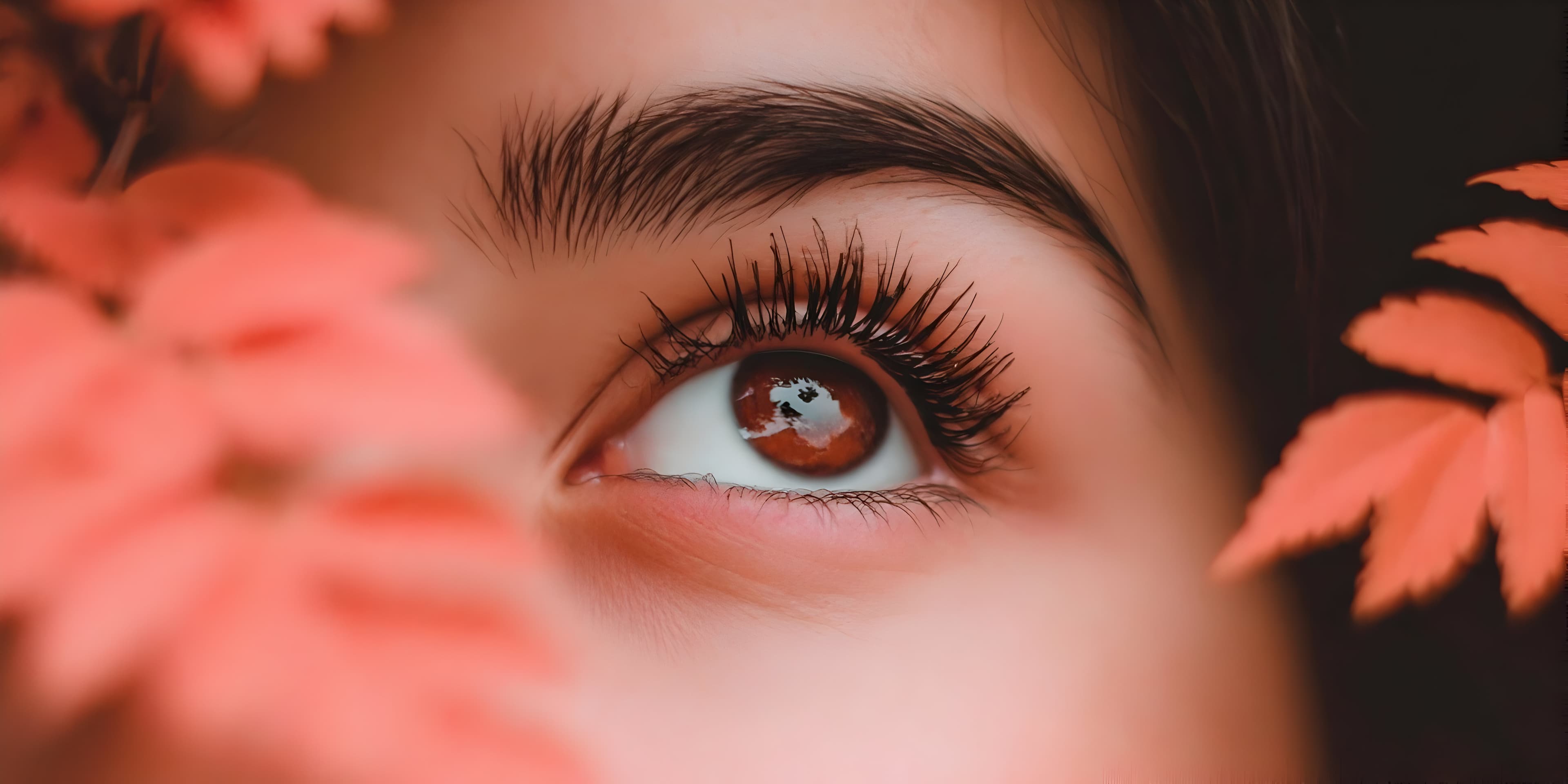 Close-up of a brown eye with long, full lash extensions